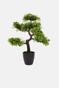 Bonsai Tree With Pot And Grass 32 x 32  x 50 cm, Green offers at 129 Dhs in Brands for Less