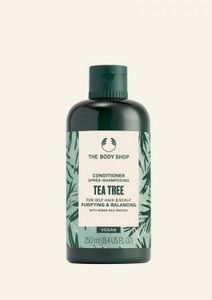 Tea Tree Purifying & Balancing Conditioner offers at 49 Dhs in The Body Shop