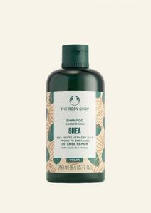 Shea Intense Repair Shampoo offers at 69 Dhs in The Body Shop