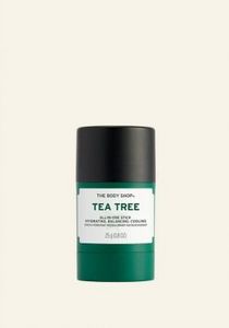 Tea Tree All-In-One Stick offers at 89 Dhs in The Body Shop