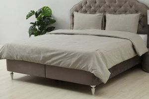 PAN                              
                                                    Dara 3pcs Comforter Sage 160x220cm offers at 89 Dhs in PAN Emirates