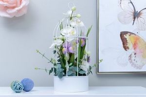 PAN                              
                                                    Orchid Flower Arrangement Multi 24x24x53cm offers at 79 Dhs in PAN Emirates