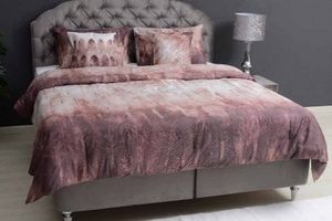 PAN                              
                                                    Feather 5pcs Comforter Set Rose 240x260cm offers at 199 Dhs in PAN Emirates
